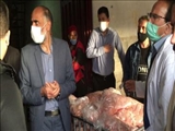 ۲۴۰۰ کیلو مرغ قطعه بندی شده در باقرشهر کشف و ضبط شد