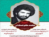 پنجشنبه های شهدایی