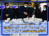 برگزاری نمایشگاه دستاوردهای بانوان کارآفرین شهرستان ری
