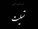  پیام تسلیت فرماندار ویژه شهرستان ری بمناسبت رحلت مرجع عالیقدر جهان تشیع حضرت آیت الله العظمی صافی گلپایگانی 