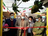 گلخانه هیدروپونیک کبیر در گلحصار شهرری به بهره‌برداری رسید
