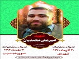پنجشنبه های شهدایی   