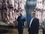 سلامت غذایی مردم در زنجیره تولید گوشت محقق می شود