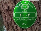 به زودی طرح پلاک کوبی درختان در باقرشهر آغاز خواهد شد