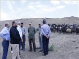 ایمنی تردد عشایر را باید فراهم سازیم