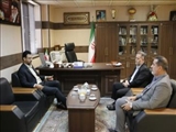 نشست سرپرست فرمانداری ویژه ری با مدیرکل پزشکی قانونی استان تهران