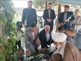 مراسم غبارروبی و عطرافشانی مزار شهدای والامقام خانواده بهزیستی در بهشت زهرا «س» برگزار شد