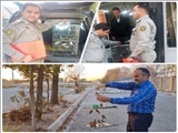دستگیری متخلف عرضه و فروش پرنده سهره در شهر ری 