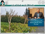آغاز هرس بیش از 40 هزار اصله درخت و درختچه در معابر، میادین و بوستان‌های شهر حسن آباد