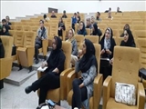 برگزاری آخرین کارگاه شناخت طرحواره درمانی بهزیستی شهرستان ری
