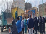 بذر امید؛ توزیع 1500 نهال رایگان در میان شهروندان باقرشهری