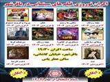 اکران نوروزی فیلم های سینمایی در باقرشهر