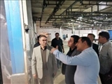 فرماندار ویژه شهرستان ری: حمایت از تولید داخلی اولویت اساسی و کلید حل مشکلات اقتصادی است