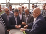سفر یکروزه فرماندار ویژه شهرستان ری به بخش فشافویه باهدف بررسی نظام مسائل و مشکلات