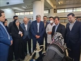 رئیس سازمان بهزیستی: خدمات درحال ارائه در مجموعه کهریزک در سطح کشور بی نظیر است