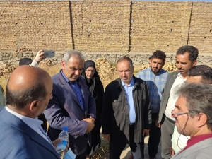 گزارش تصویری