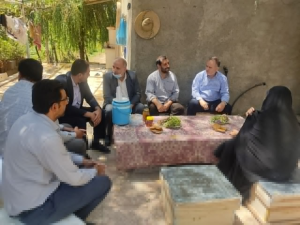 صنعتی سبز به شیرینی عسل/صنعت زنبورداری