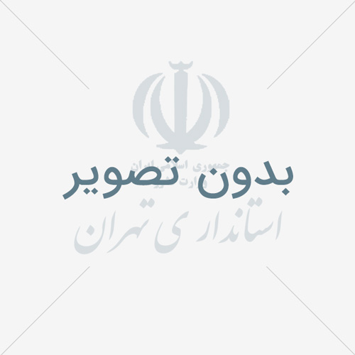 حضور میدانی در میان اهالی روستا؛ از بهره برداری بوستان تا برگزاری میز خدمت در دو تویه سفلی